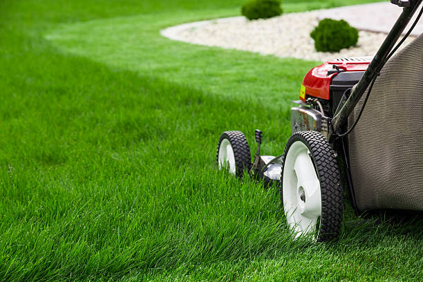 How to Start a Lawn Care Business Legally